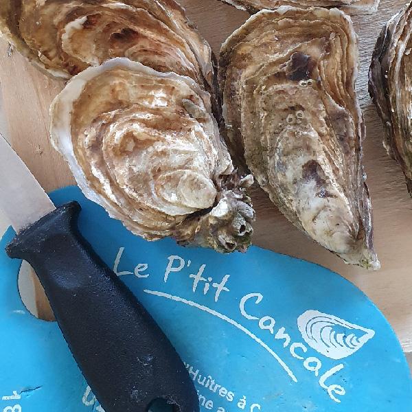 Acheter des huîtres fraîches au Ptit Cancale